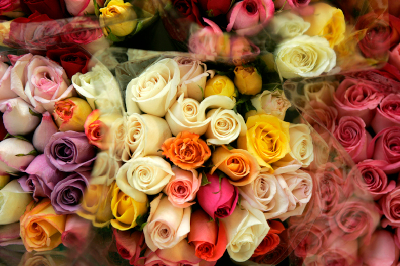 kolorowe bukiety kwiatów